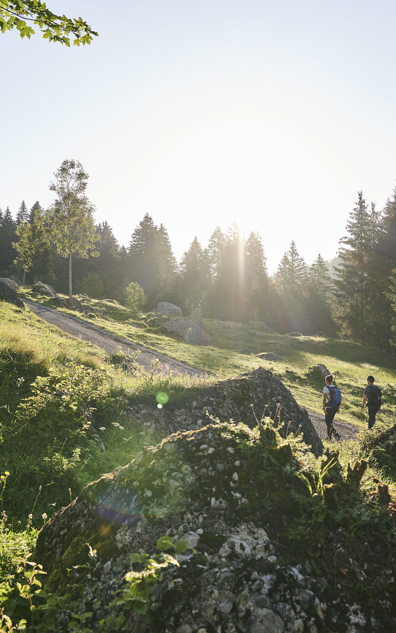 Wandern im Naturpark Nagelfluhkette im Bregenzerwald