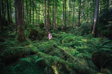 hiking in forest near lake Hallstatt