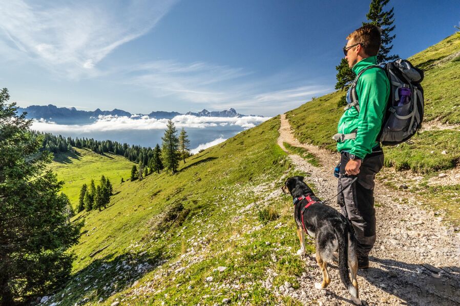 Hiking in the region of Lake Faaker, Naturel Hotels