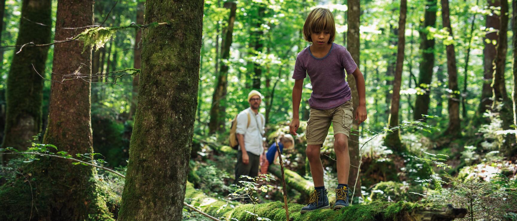 Wandern mit Familie im Wald bei Hallstatt