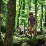 Wandern mit Familie im Wald bei Hallstatt