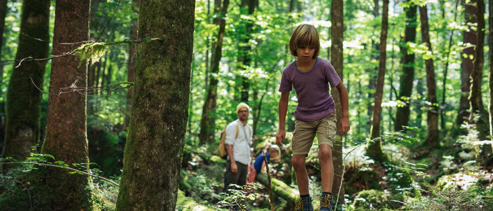 family hiking in forest near lake Hallstatt