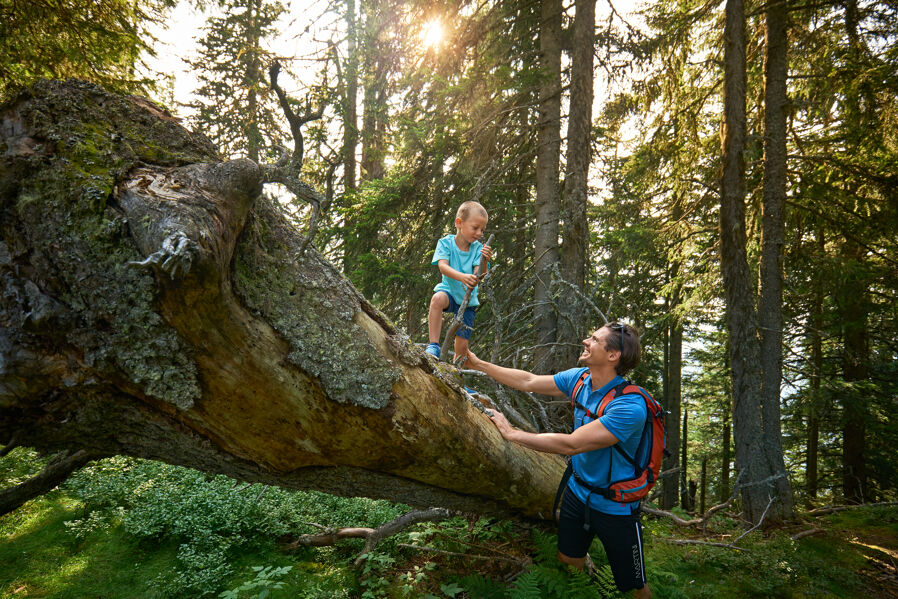 Hiking with the family