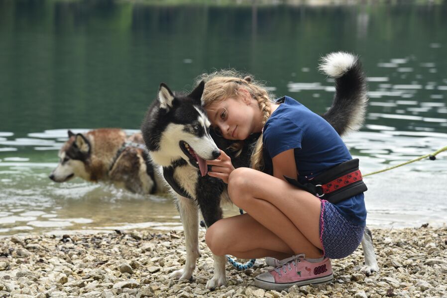 Wanderung mit dem Husky - Huskytraum Ebensee in Oberösterreich