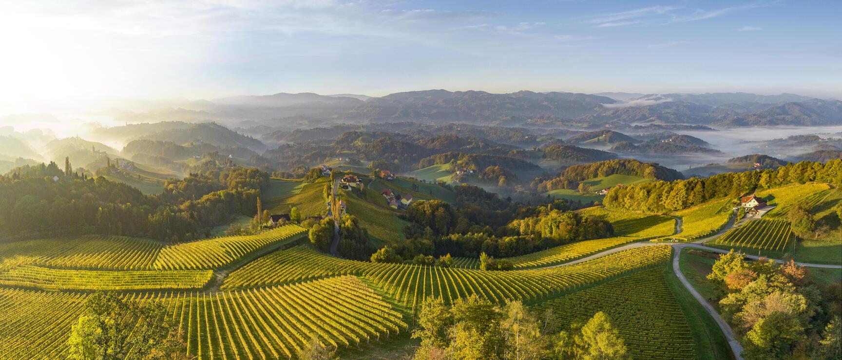 Aerial view of autumn vineyards in South Styria, morning mist in the hills, blue sky.