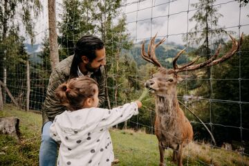 Family feeding wild animals in the wildlife reserve