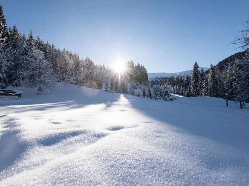 Winterlandschaft in Gastein (c) Gasteinertal Tourismus GmbH, Marktl