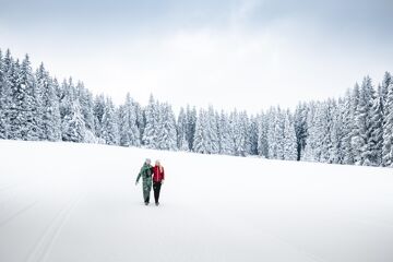 Winter hiking, Schladming Dachstein