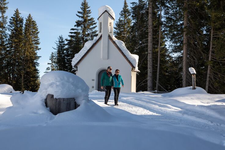 Winterwandern auf dem Rundwanderweg Högsee