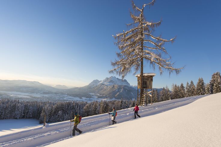 Winter hiking in the region of St. Johann in Tirol