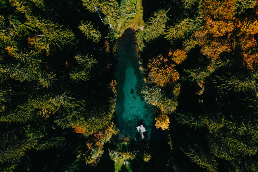 wald.teich im Herbst